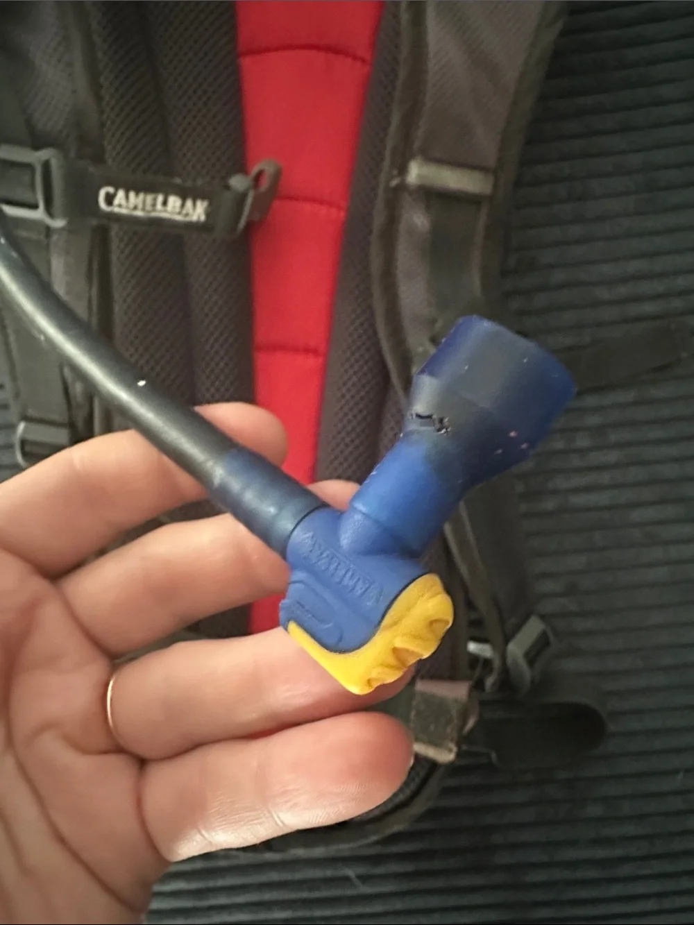 CamelBak Red and Black Hydration Backpack